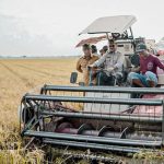 Stok Beras Indonesia Hari Ini Tertinggi Sepanjang Sejarah