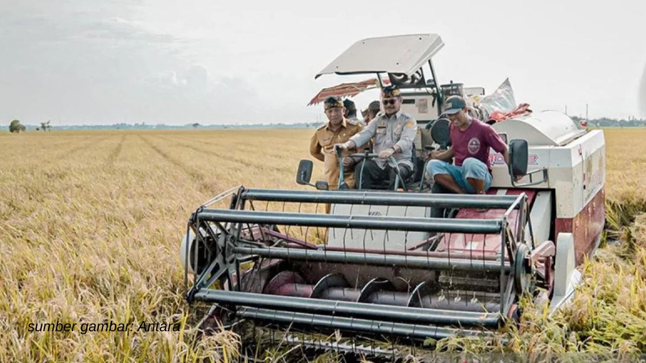Stok Beras Indonesia Hari Ini Tertinggi Sepanjang Sejarah